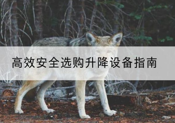莲湖升降货梯厂家推荐-*安全选购升降设备指南