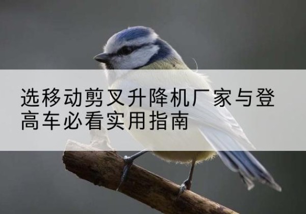 莲湖电动升降机厂家-选移动剪叉升降机厂家与登高车必看实用指南