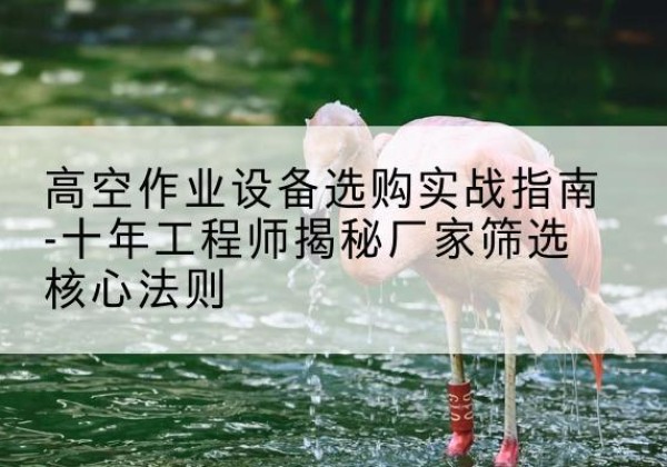 莲湖剪叉式升降机厂家-高空作业设备选购实战指南-十年工程师揭秘厂家筛选核心法则