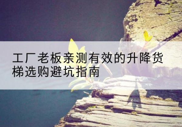 莲湖升降货梯怎么选-工厂老板亲测有效的升降货梯选购避坑指南